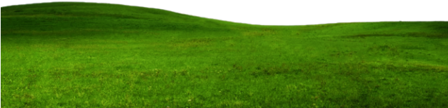 Ground Clipart Grass Plain - Grass (640x480), Png Download