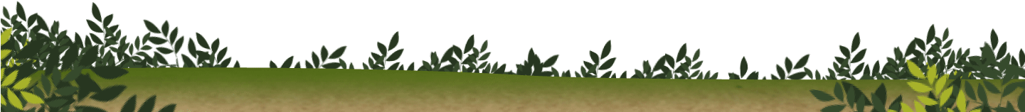 Learn With Ubongo Kids - Grass (1440x600), Png Download