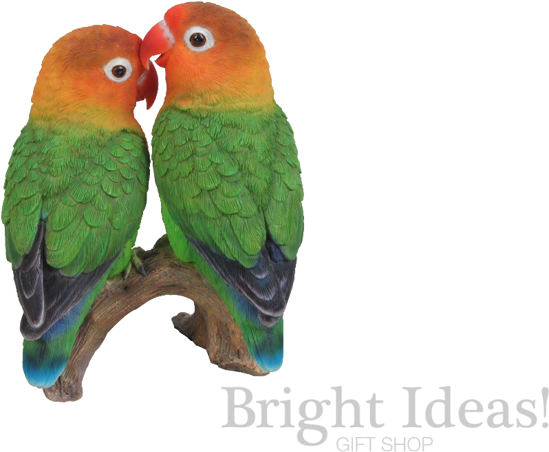 Love Birds Exotic Real Life Birds - Love Birds Png Gif (1200x803), Png Download