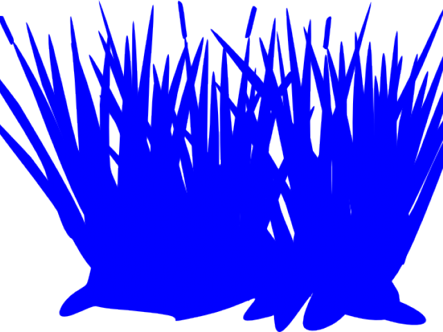 Clip Art (640x480), Png Download