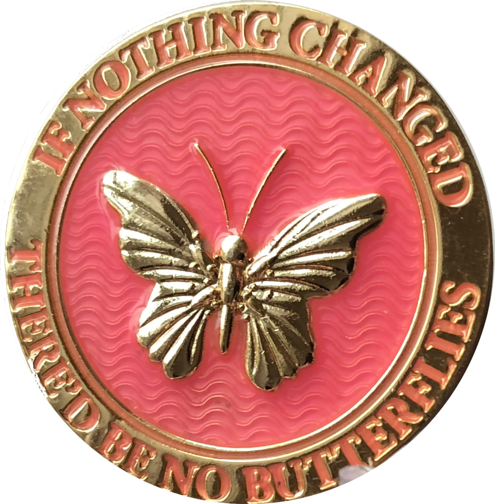 Butterfly If Nothing Changed There'd Be No Butterflies - Emblem (1006x1024), Png Download