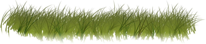 Clipart Grass Forest Grass - Forest Grass Transparent (1400x298), Png Download