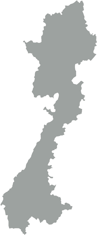 Rajsamand Map - Tree (800x800), Png Download