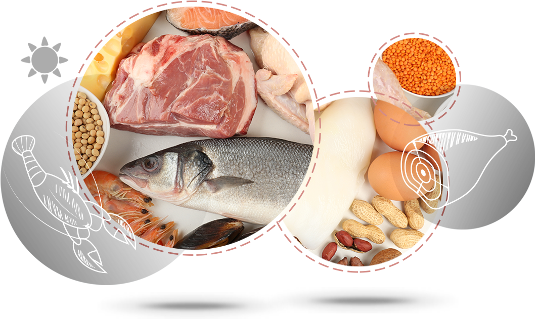 Meat Egg Legumes - Et Yumurta Kuru Baklagiller Grubu (1125x680), Png Download