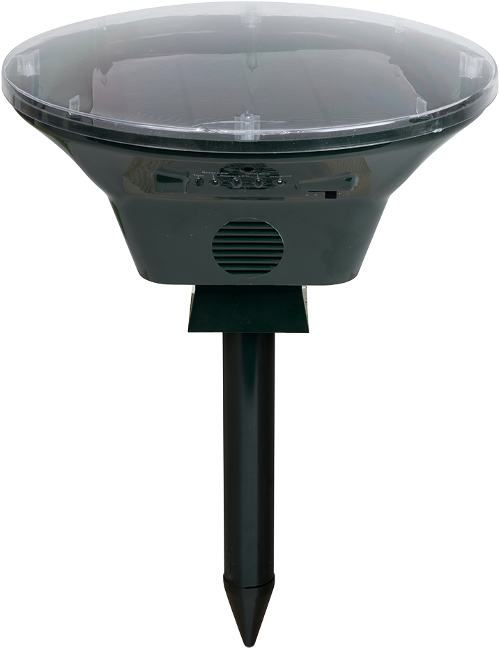 Rear-view Mirror (1000x1046), Png Download