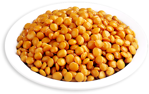 Lentils Png