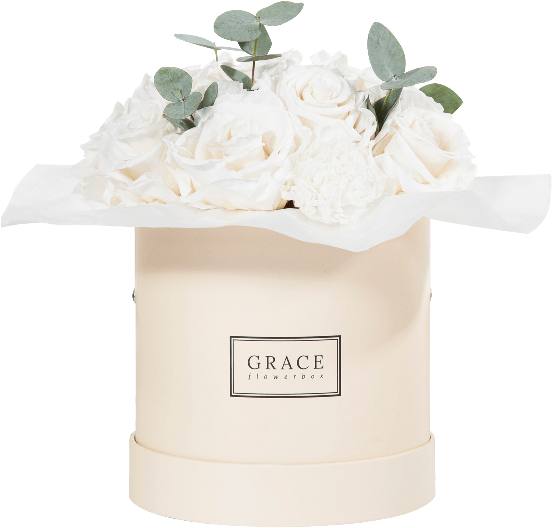 Garden Roses (1138x1200), Png Download