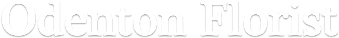 Calligraphy (1641x439), Png Download