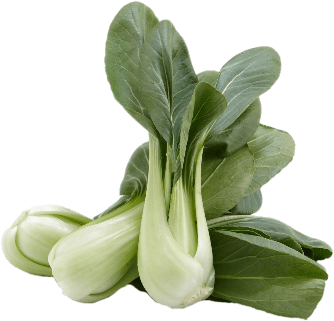 Vegetables - Bok Choy Woolworths (1200x1200), Png Download