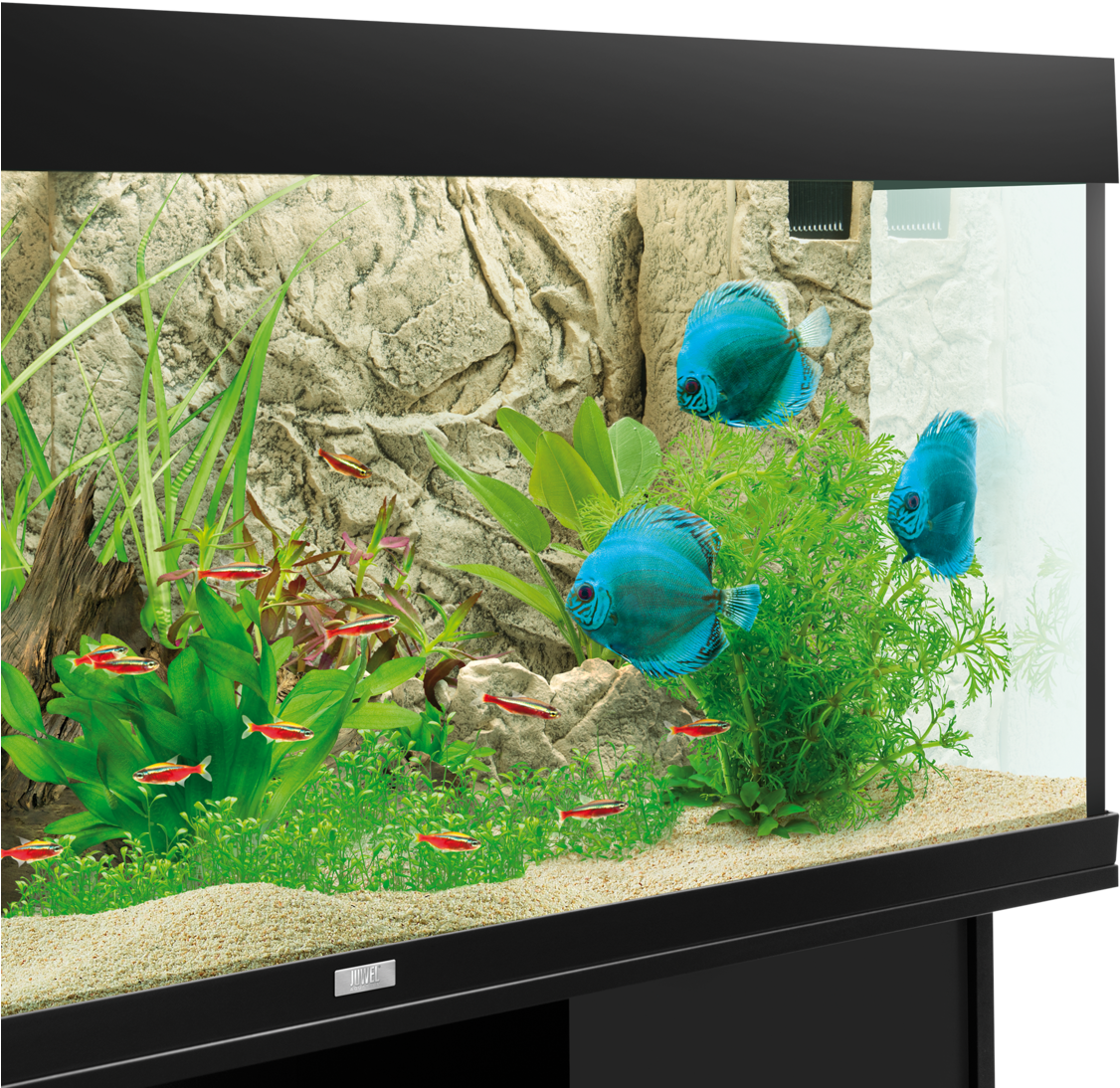 Find Dealer Facebook E-mail - Juwel Digital Thermometer 2.0 (1195x1195), Png Download