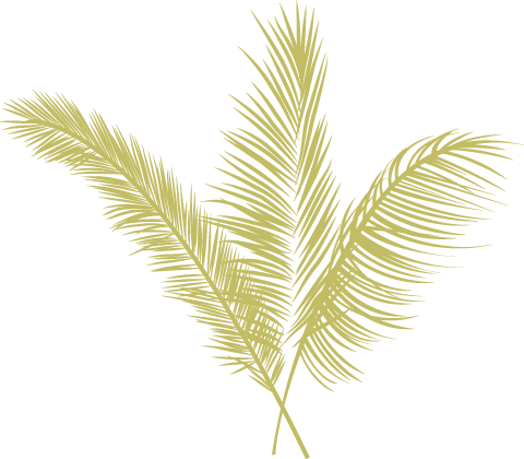 Eugene Local Food Carts - Yellow Palm Leaves Png (480x420), Png Download