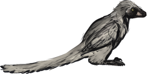 Jurassic Feathers Au - American Crow (500x253), Png Download