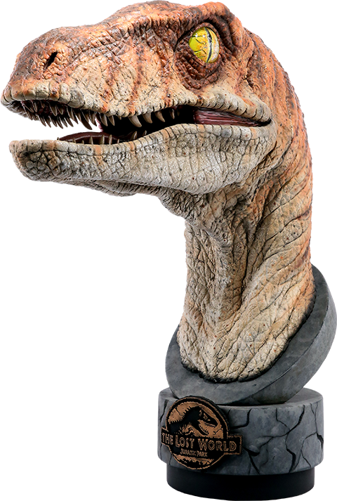 30" Jurassic Park Life-size Bust Male Raptor - Jurassic Park Raptor Model (480x713), Png Download