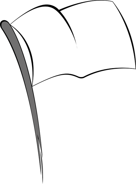 Gop's Latest Health Bill Looking More Like A White - White Flag (475x640), Png Download