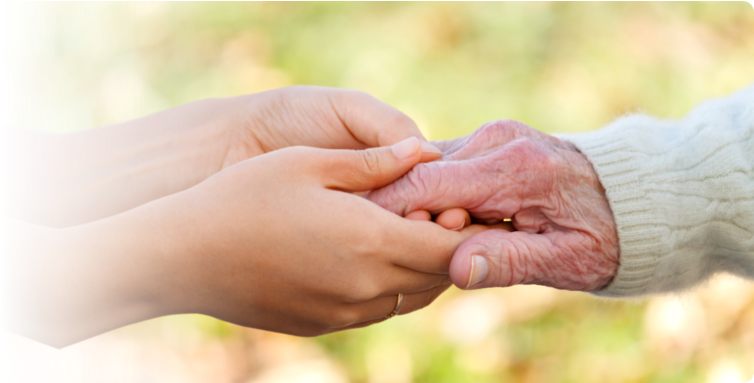 Hands - Helping Hands (960x382), Png Download