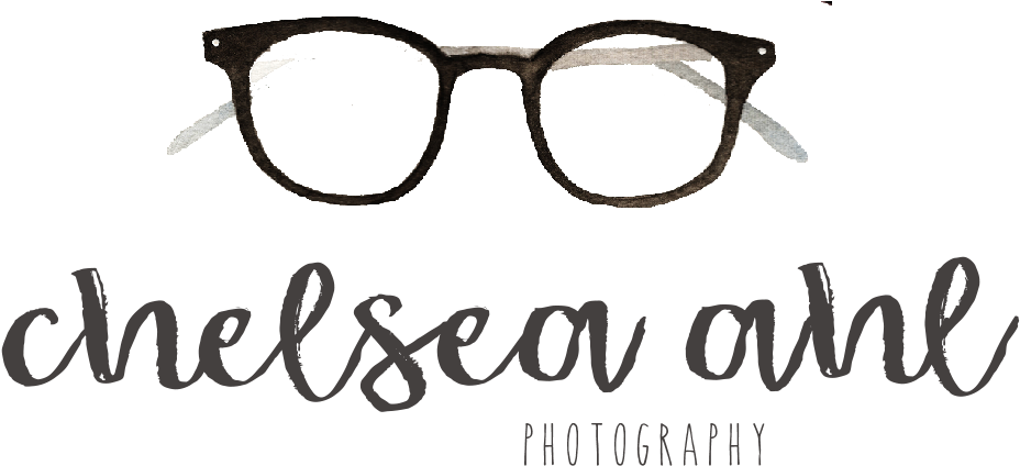 Chelsea Ahl Photography - Photographer (1355x623), Png Download