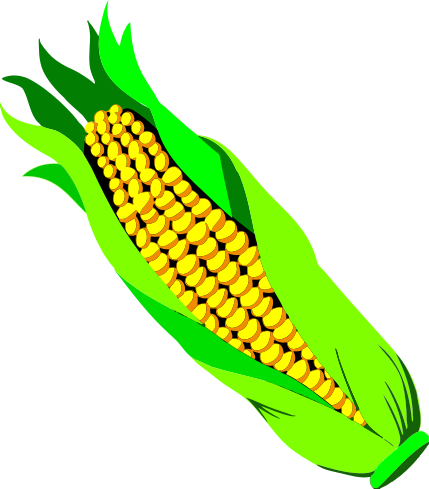 Ear Of Corn - Cob Clipart (429x489), Png Download