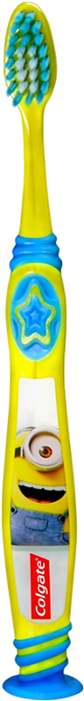 Clip Art Free Library Toothbrushes Mouthwash Toothpaste - Toothbrush (500x800), Png Download
