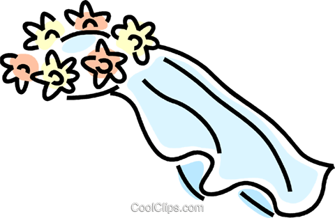 Bridal Veil Royalty Free Vector Clip Art Illustration - Veil Clipart (480x313), Png Download