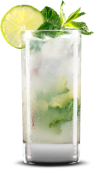 Mojito Png Pic - Mojito Png (500x728), Png Download