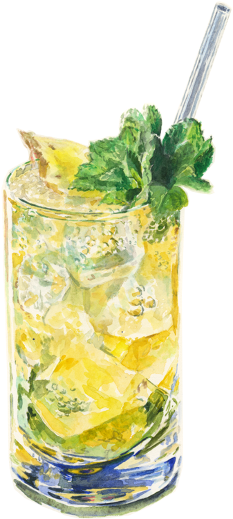 The Ultimate Cocktail Recipes Guide - Passion Fruit Mojito Png (506x800), Png Download