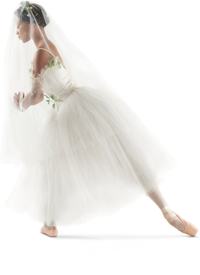 Through The Veil - Bride (667x1000), Png Download