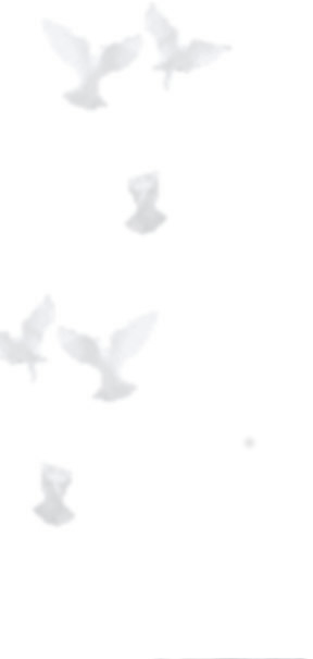 Anna Lisa Hernandez, Aka “the Dove Lady”, Officially - Province Of Bergamo (288x605), Png Download