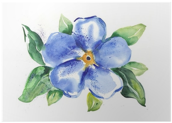 Vergissmeinnicht Bild Aquarell (400x400), Png Download