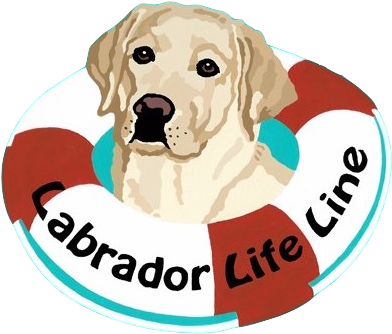 Labrador Life Line Logo (410x363), Png Download