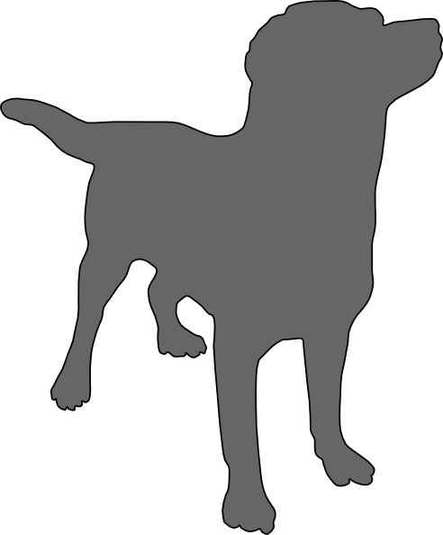 How To Set Use Grey Labrador Clipart (492x594), Png Download