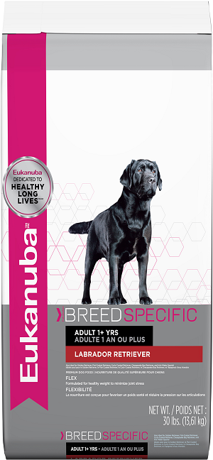 Front2 - Eukanuba Labrador (300x654), Png Download