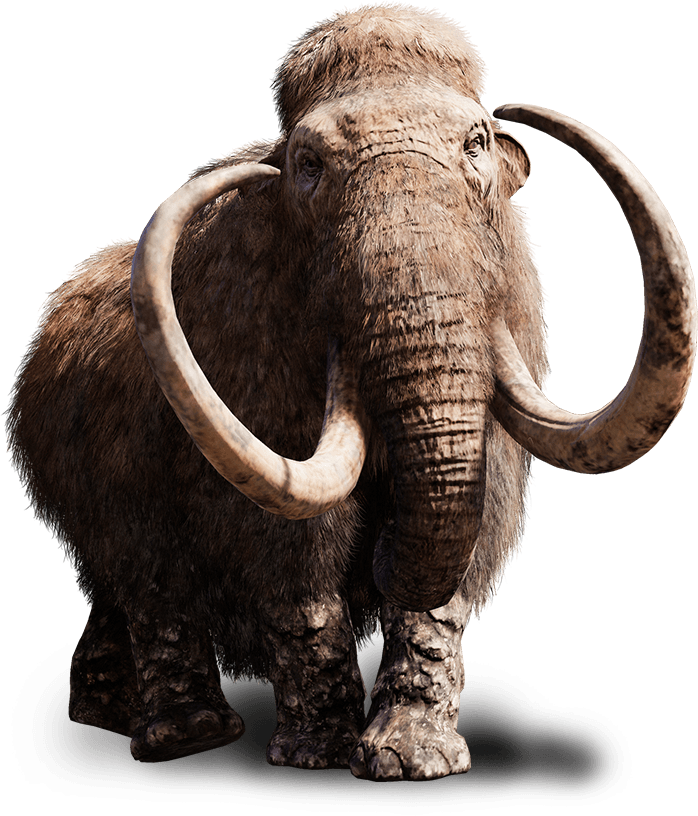 Elder Mammoth - Far Cry Primal Mammoth (698x816), Png Download