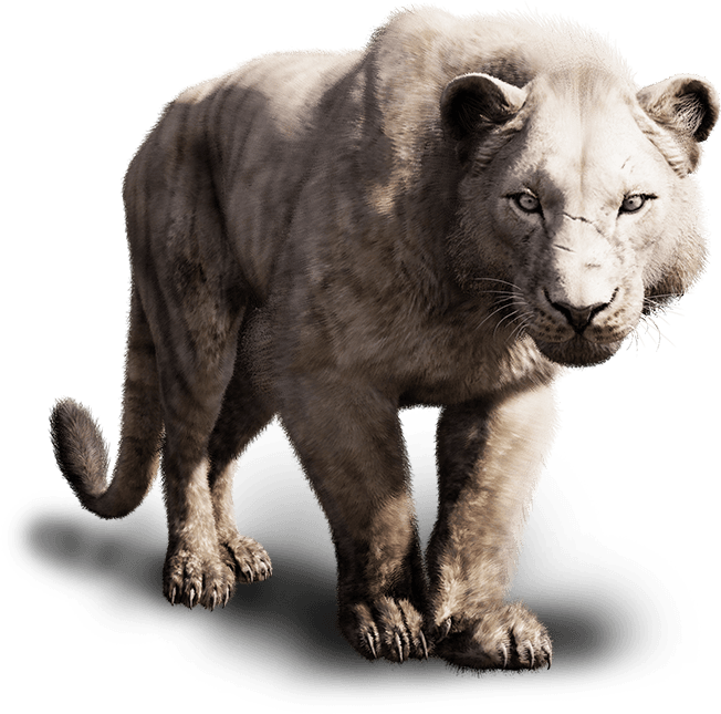 Far Cry Primal Cats (652x645), Png Download