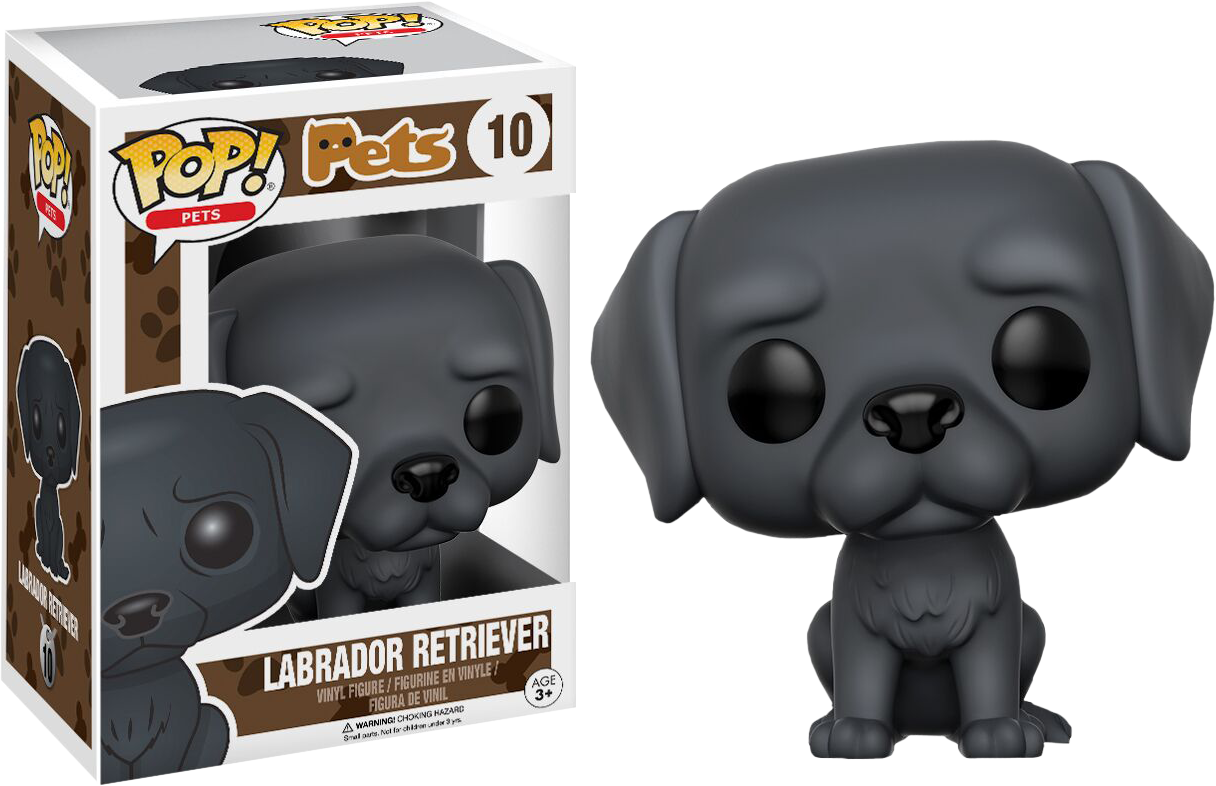 Pets - Pets - Labrador Retriever (black) (1216x786), Png Download