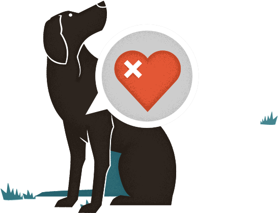 Heartworm Grass - Heartworm Transparent (547x429), Png Download
