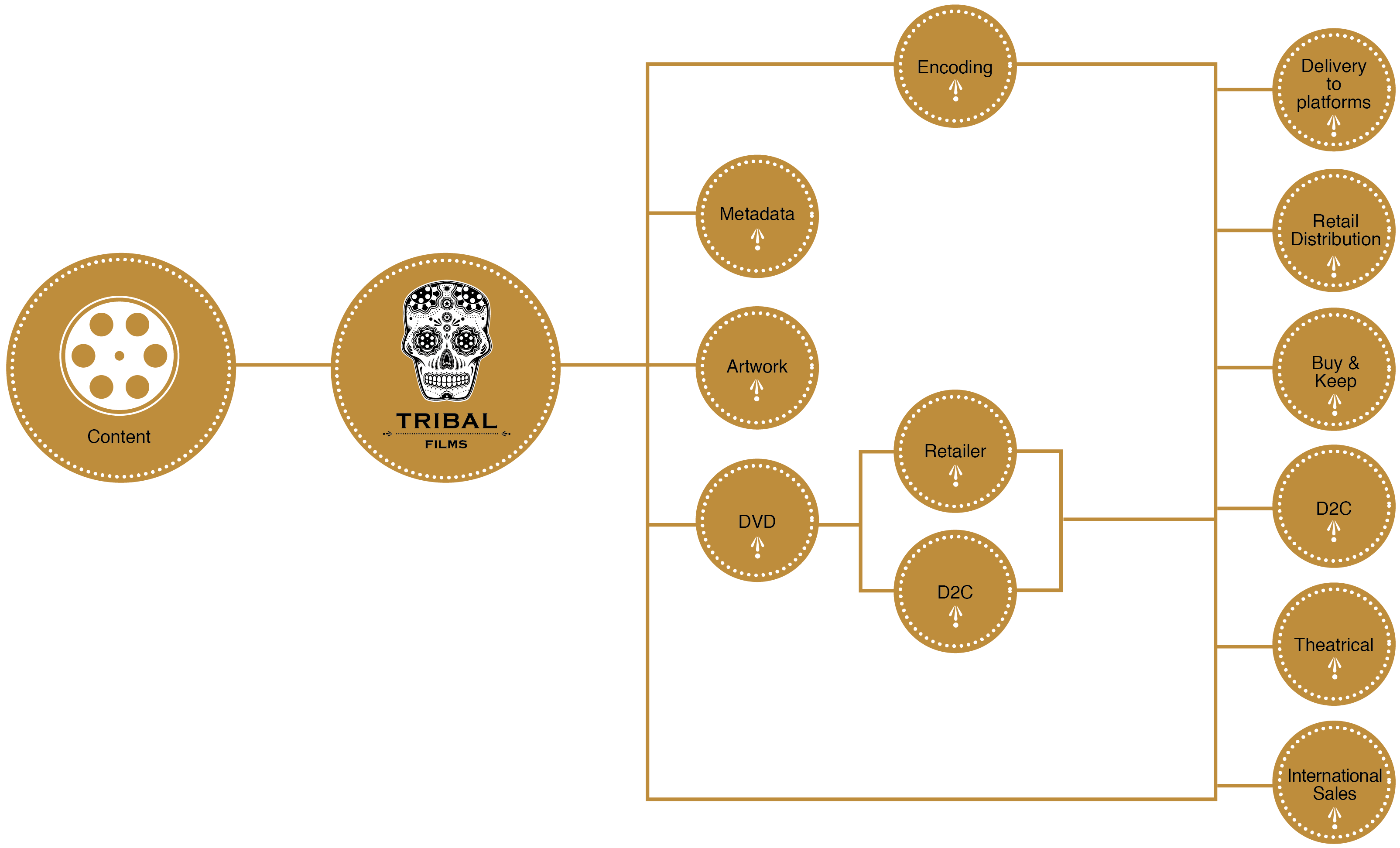 Tribal Film - Circle (4167x2084), Png Download