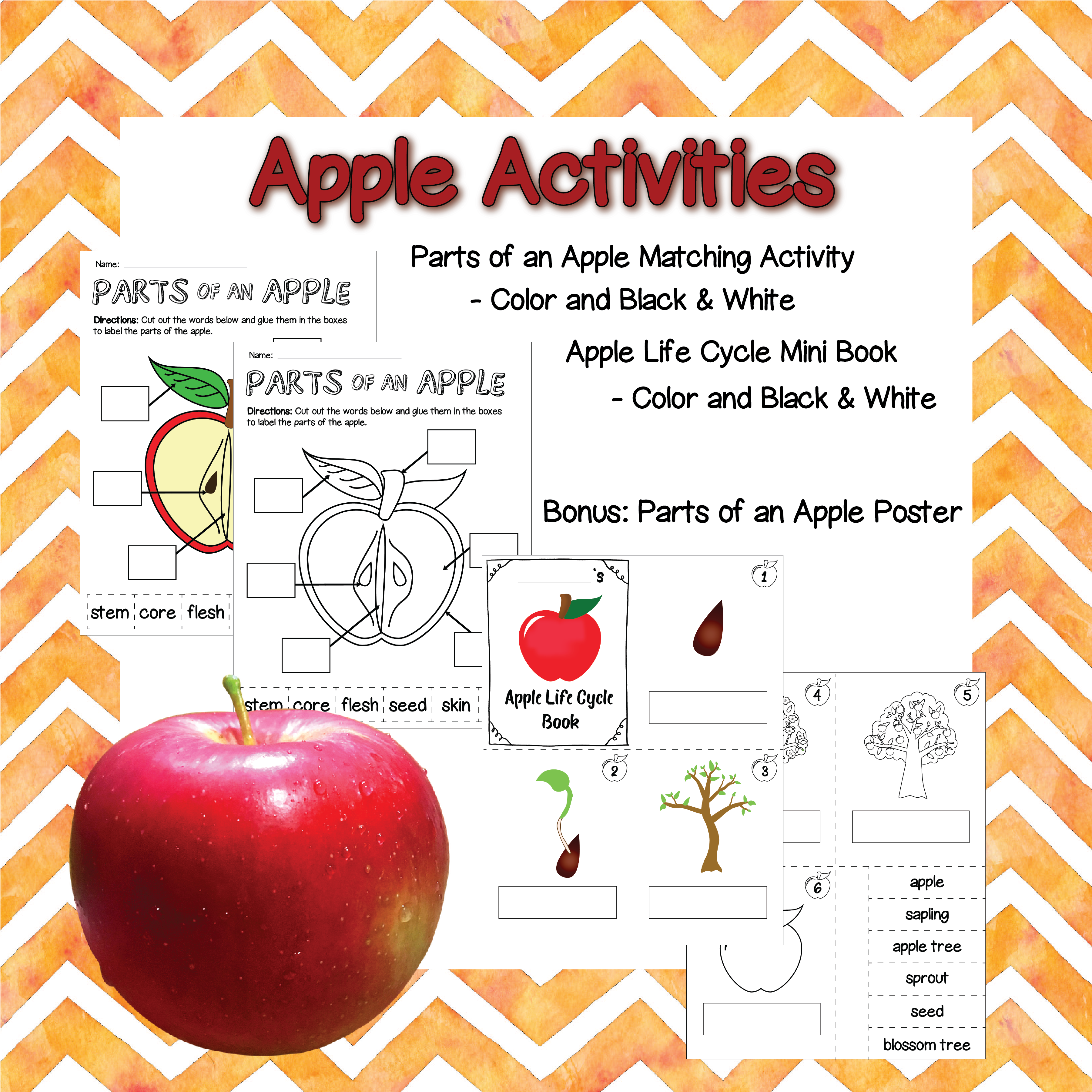 Product Preview Science Resources, Learning Resources, - Wedding Invitation (3968x3968), Png Download