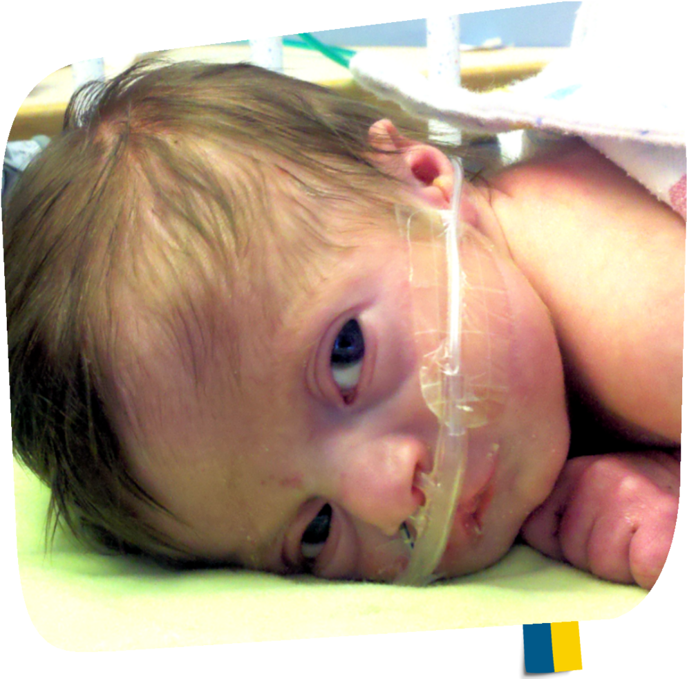 Alex 3a - Baby (1000x1000), Png Download