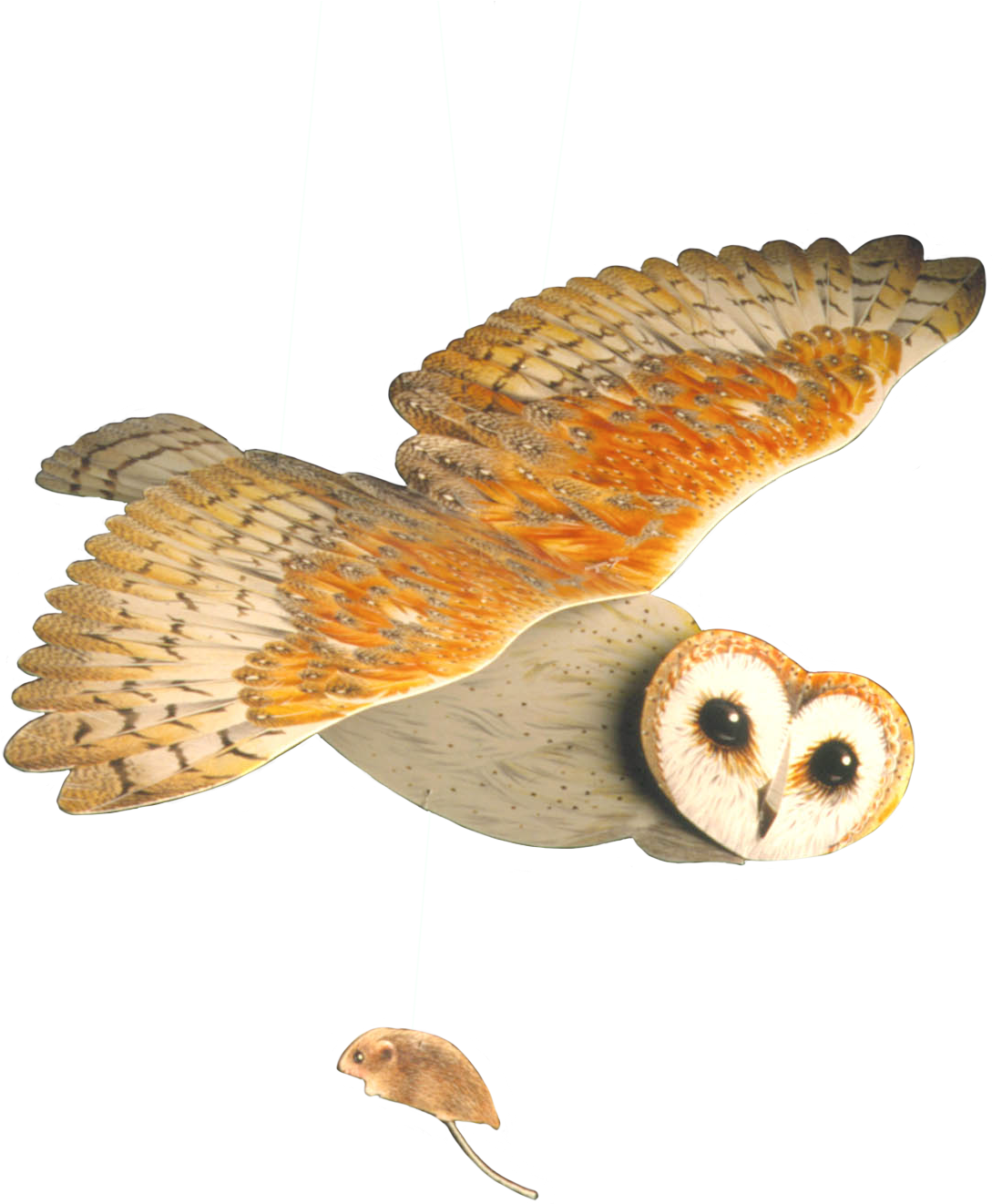 Barn Owl Mobile - Barn Owl (1417x1400), Png Download