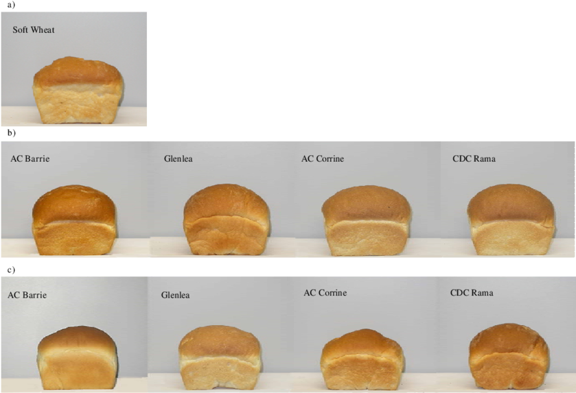 Breads Prepared From A) Soft Wheat Flour, B) Blends - Fast Food (850x583), Png Download