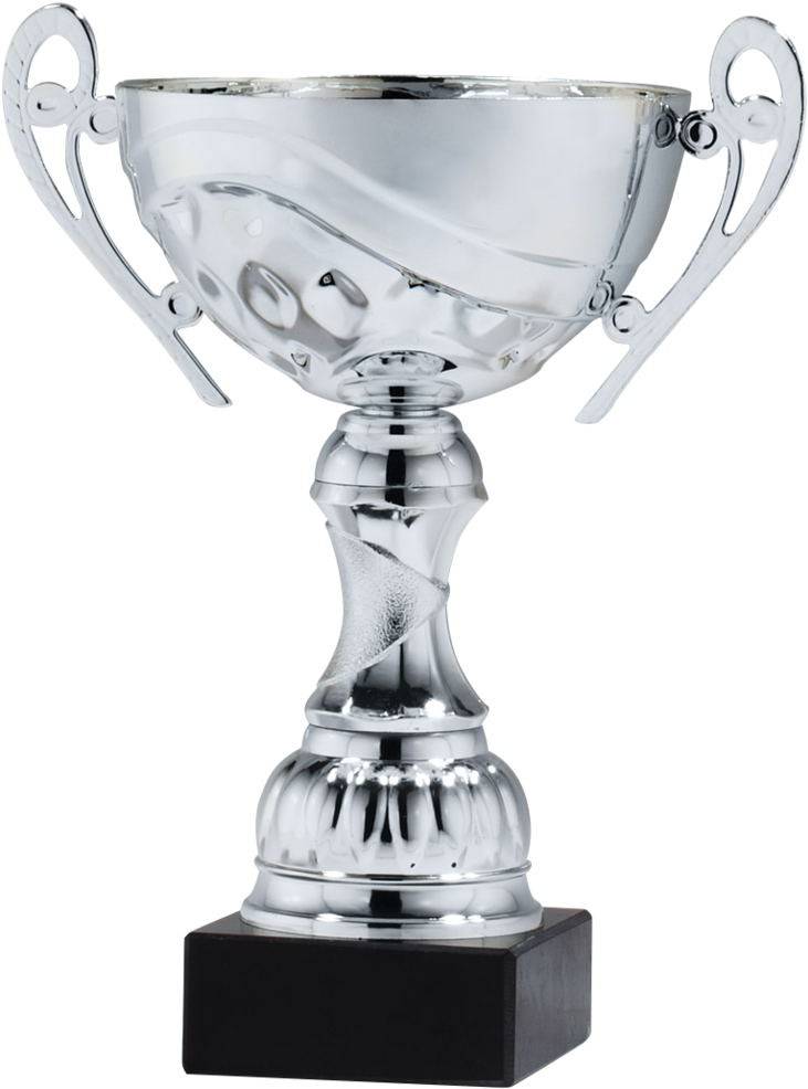 Awards Cup Png (777x1024), Png Download