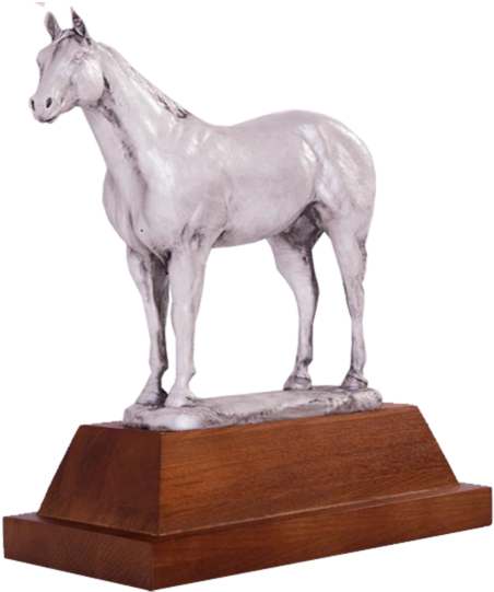 Arc2-b1 Horse Trophy Series - Statue (600x573), Png Download