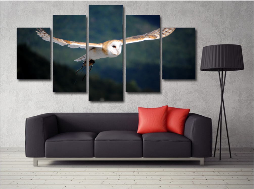 Barn Owl Flying - 5 Piece Photo Naruto Itachi (1024x1024), Png Download