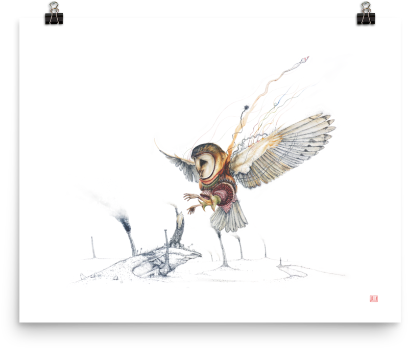 Repunzel The Barn Owl - Legend Of The Guardians Art (1000x1000), Png Download