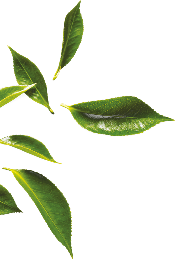 Join - Herb (595x876), Png Download
