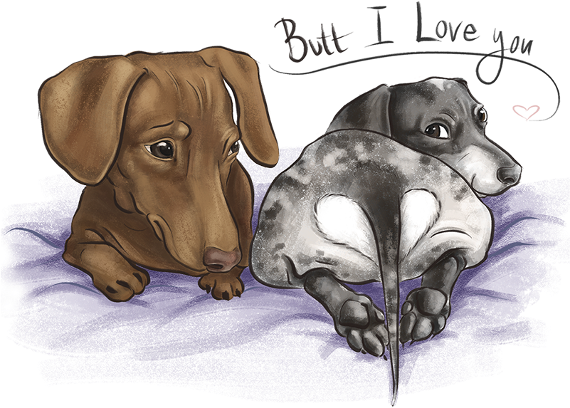 Illustration - Dachshund (800x585), Png Download
