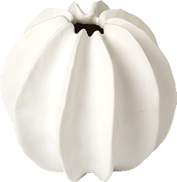 Pumpkin (576x576), Png Download