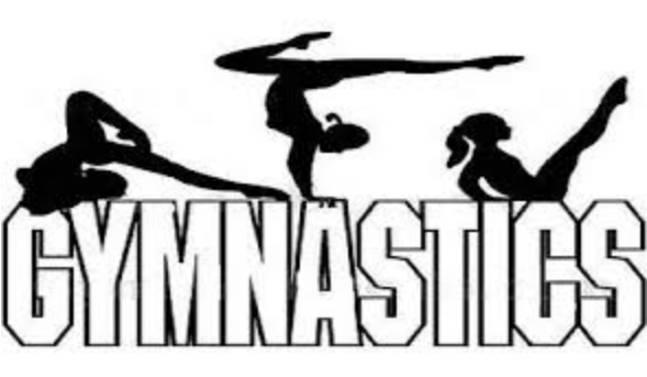 Mills Gymnastics Booster Club - Gymnastics (960x342), Png Download