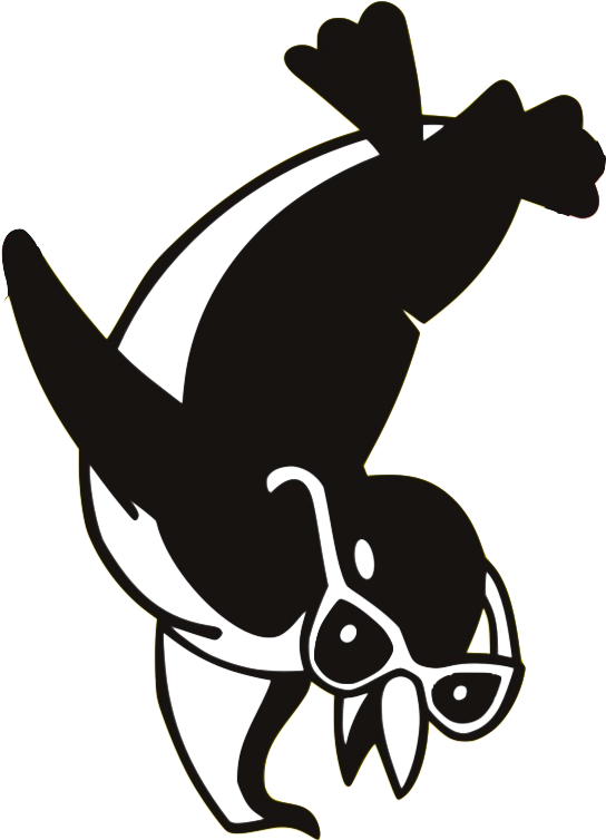 2018 Penguin Invite - Park Avenue Gymnastics (638x758), Png Download