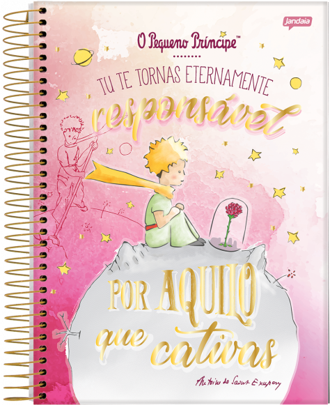 Caderno Universitário O Pequeno Príncipe Rosa 10 Matérias (580x580), Png Download